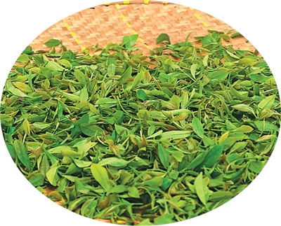 摊凉中的雨花茶。