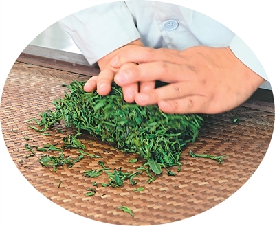 揉捻中的雨花茶叶。