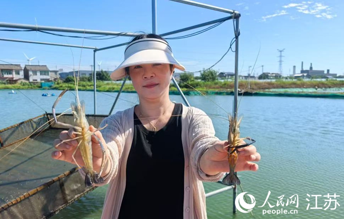 新鲜捕捞的高邮大虾。人民网 杜沁萌摄