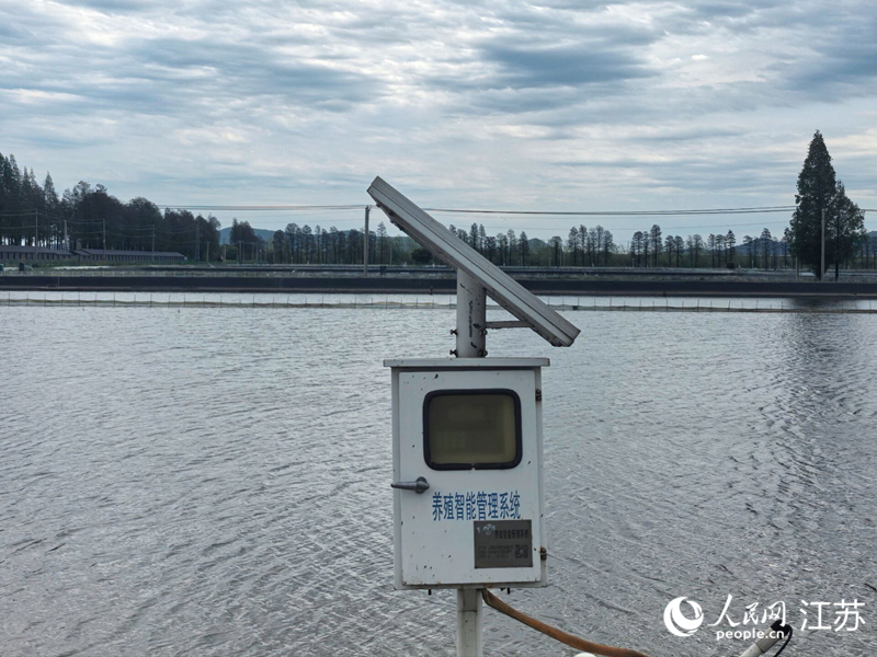 高淳螃蟹养殖智能管理系统。人民网 崔小倩摄