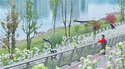 市民在治理一新的重庆市九龙坡区九龙半岛滨江步道享受静谧时光。西班牙籍餐厅经营者 胡安·曼努埃尔·卡马乔摄