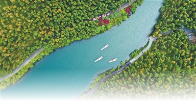 常州天目湖南山竹海景区。常州市委宣传部供图